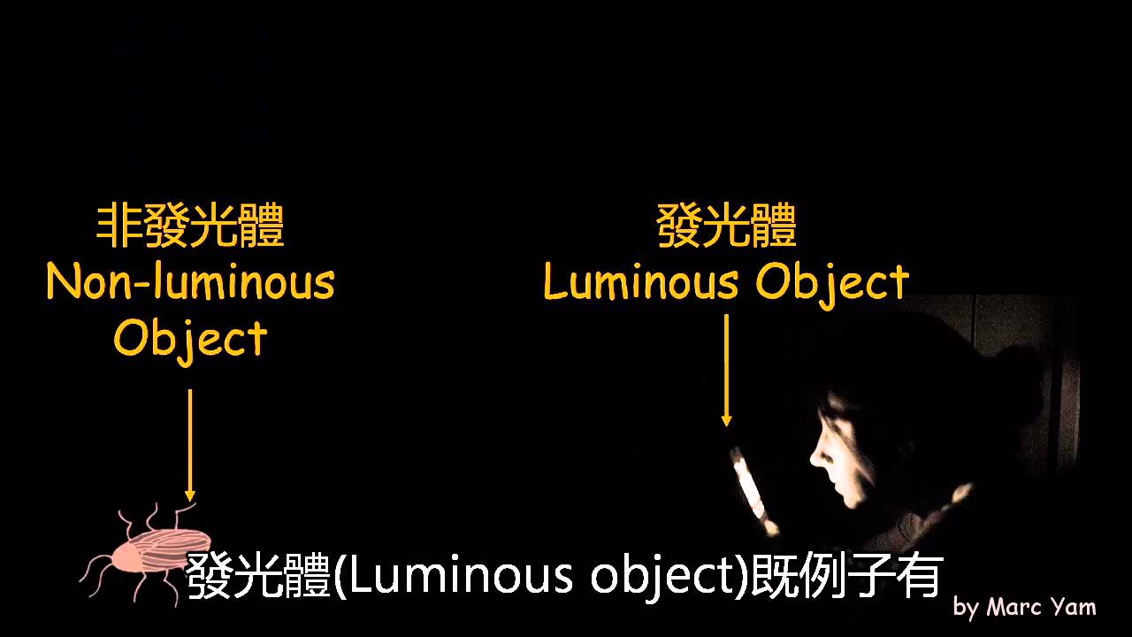 徒道人免费公开源孔打一生狗元物：从情景、前期事例到抽光思考的分析