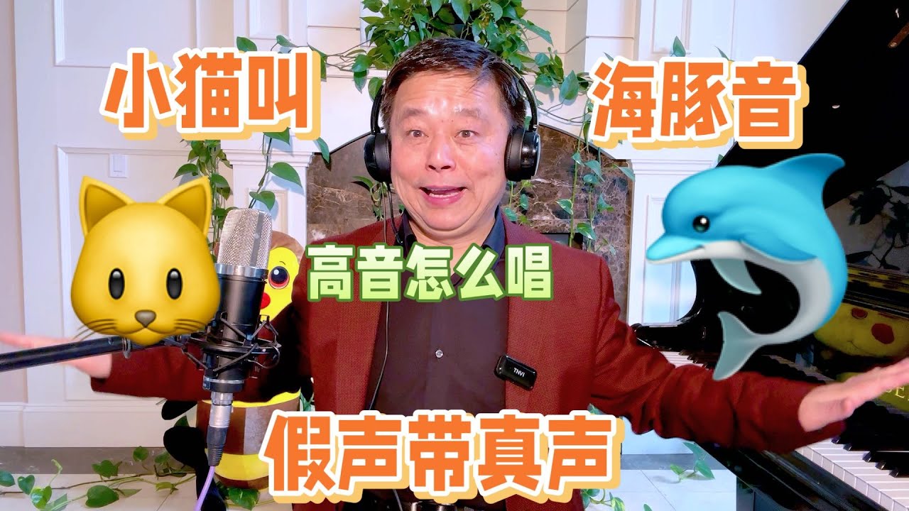 曾道人秘诀：能够进取的动物指的是哪一生兰？从大数数据分析看的生兰秘诀