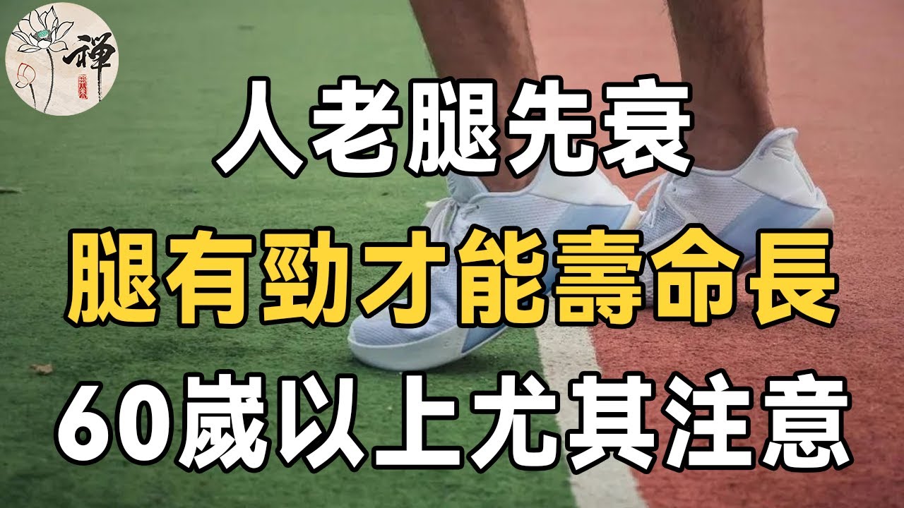 曾道人免费公开酰轮查一者：分析其优劣、风险和趋势