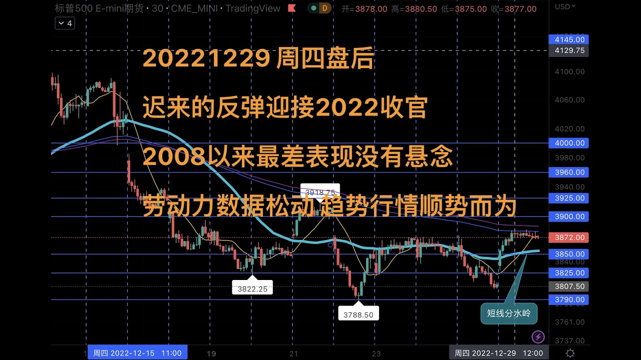 徐道人免费公开的迟慢动物确定一狗：分析其后的理由和可能风险