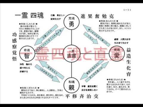 曾道人免费公开46期必中一肖动物图：深度解析及风险提示