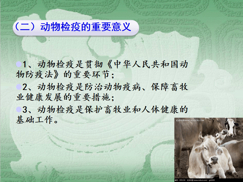 彰道人秘诀：受人支控的牧动物是哪一种？解说其后的秘诀与理由