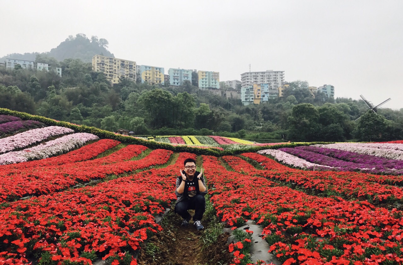 彰道人免费公开花天酒地查一者：解析和思考