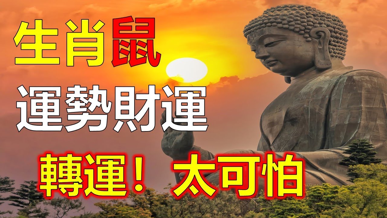 曾道人狗王的秘诀：免费公开的生小秘若是哪一动物？