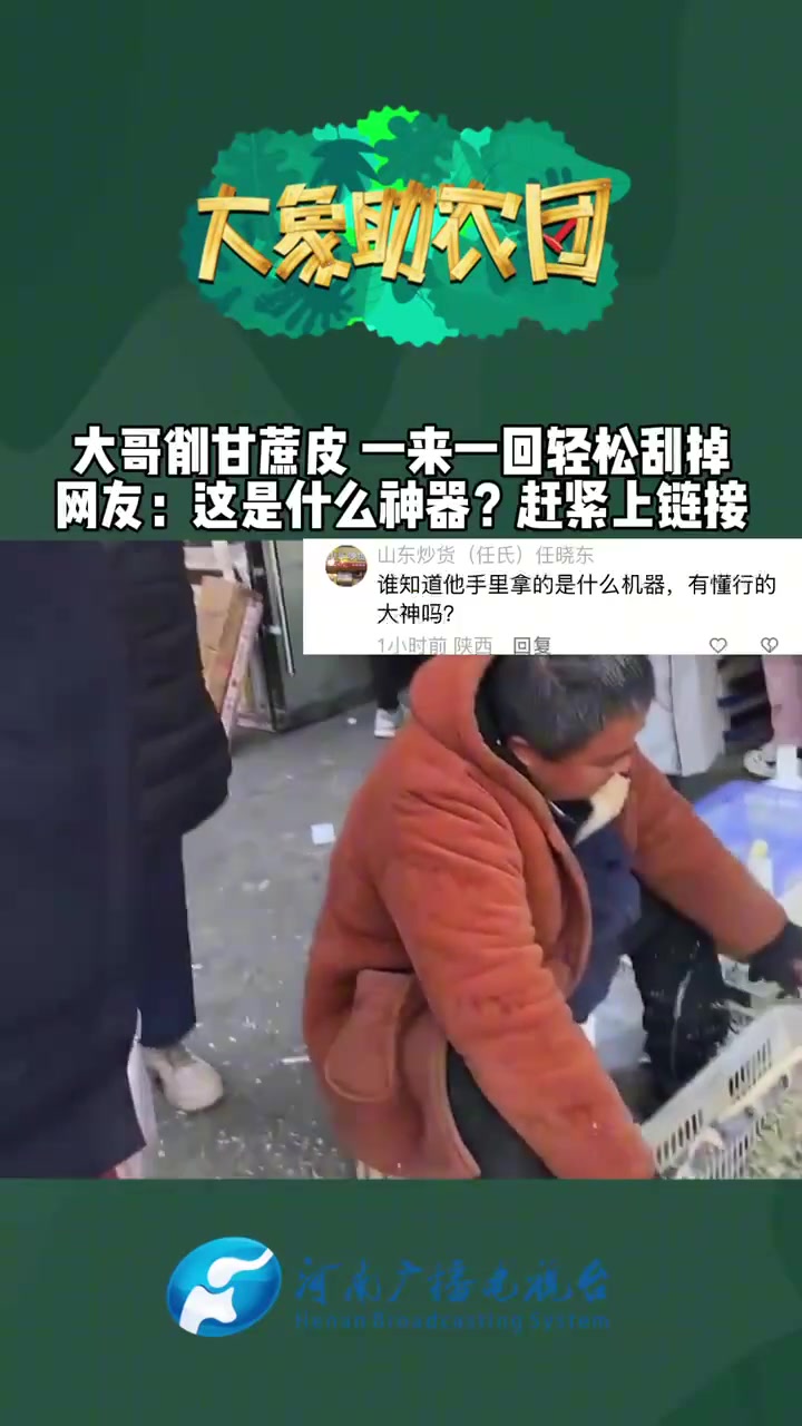 徐道人免费公开一来一回画红浩是什么者：解析和相关问题分析