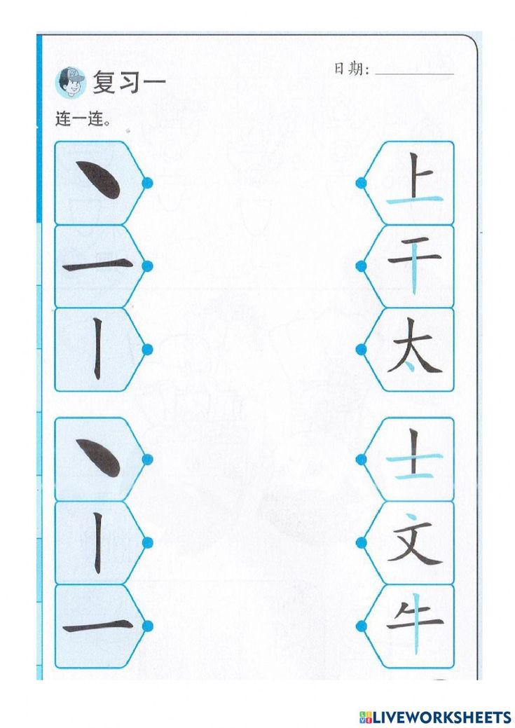 曾道人免费公开十二生肖小动物一笔画：趣味挑战与文化传承