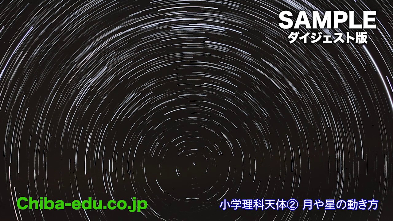 曾道人免费公开：星罗棋布的动物究竟暗示哪个生肖？深度解析及预测