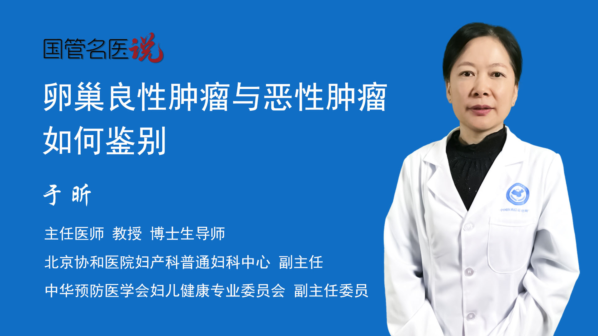 曾道人免费公开模糊动物打一肖：深度解析及风险提示