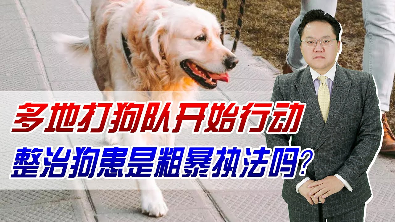 徐道人免费公开六蛇马来本期开打一狗：分析其后的数字特征和风险