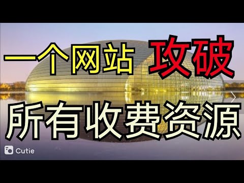 曾道人免费公开阴阳二气打一生肖动物：深度解析生肖密码与文化内涵