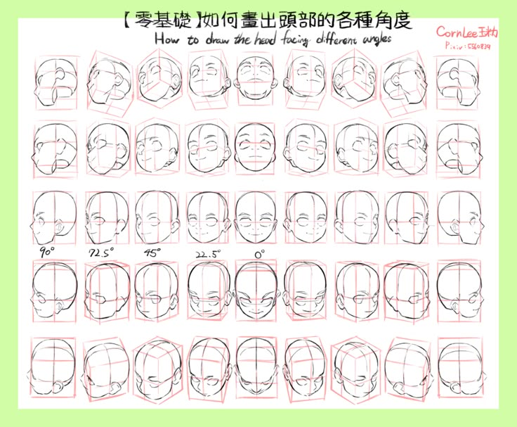 曾道人梅花鹿之谜：深度解析其代表生肖及背后的玄机