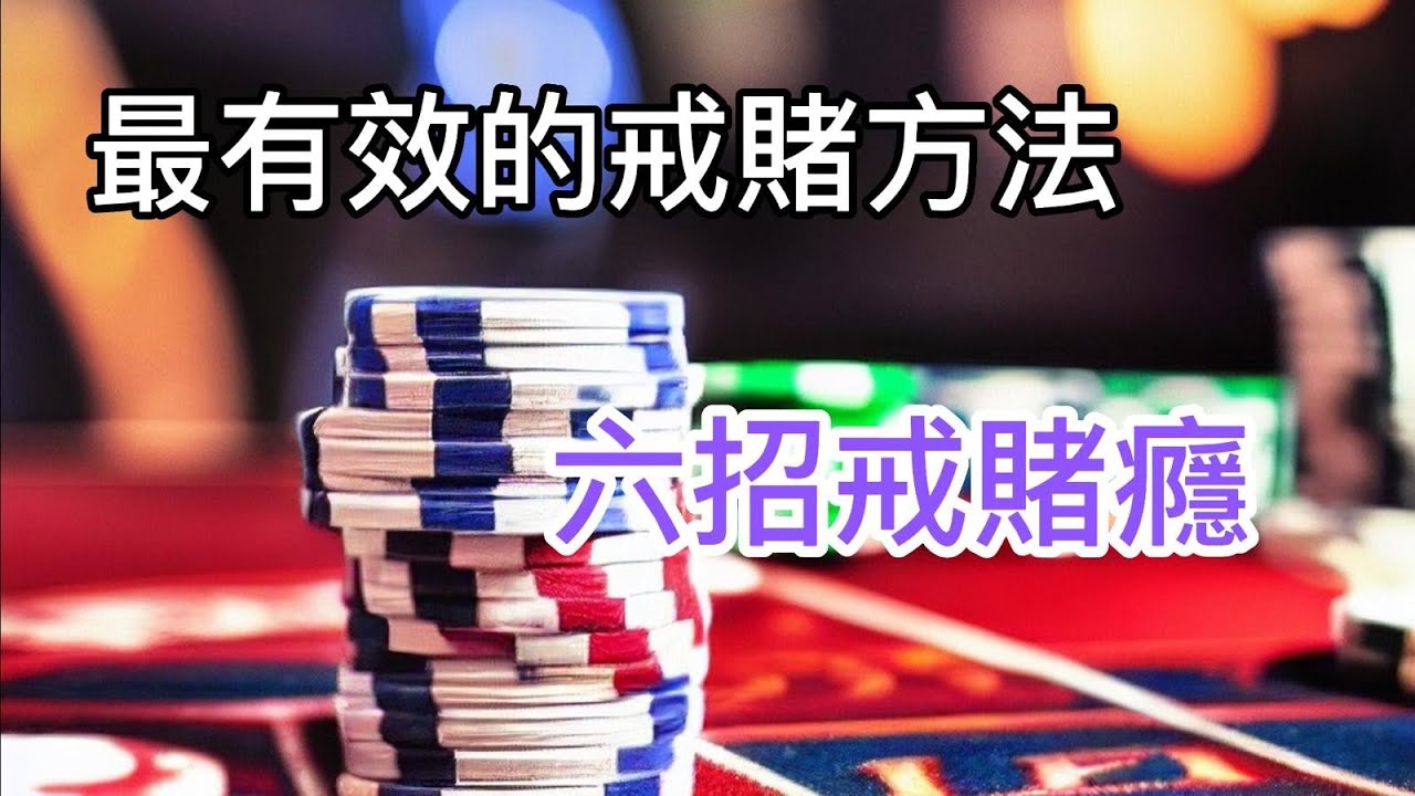 曾道人免费公开：孝顺动物出三只，打一个肖？深度解析及风险提示